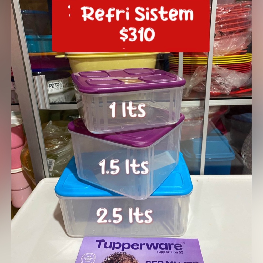 Tupperware Square Clear with Blue & Purple Seal 
Mates Container Set